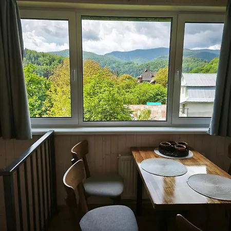 At Starunchakiv Family 招待所 亚列姆切