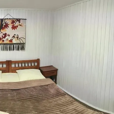 At Starunchakiv Family 招待所 3*